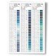 Fil pour tout coudre Gutermann 100m